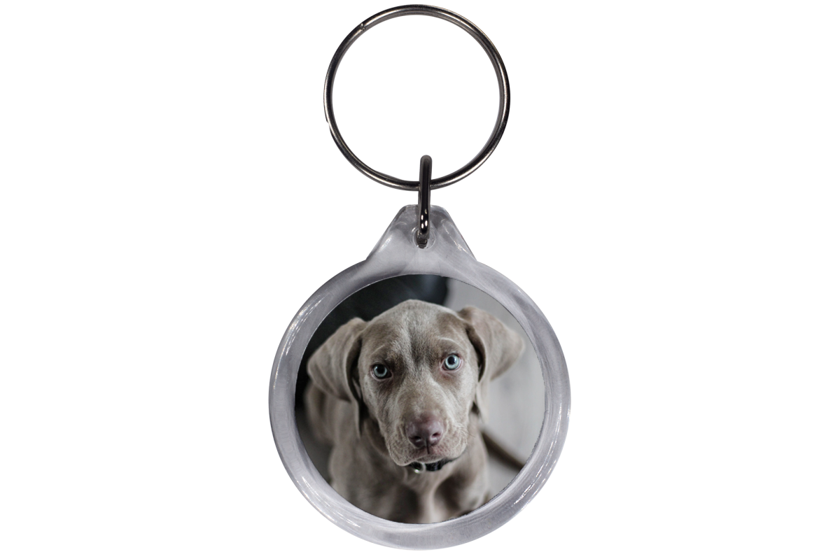 ResKey Schlüsselanhänger rund Hund Labrador beidseitig bedruckt