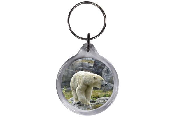 ResKey Schlüsselanhänger rund Eisbär Bär beidseitig bedruckt